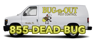 Pest van using 1-855-DEAD-BUG
